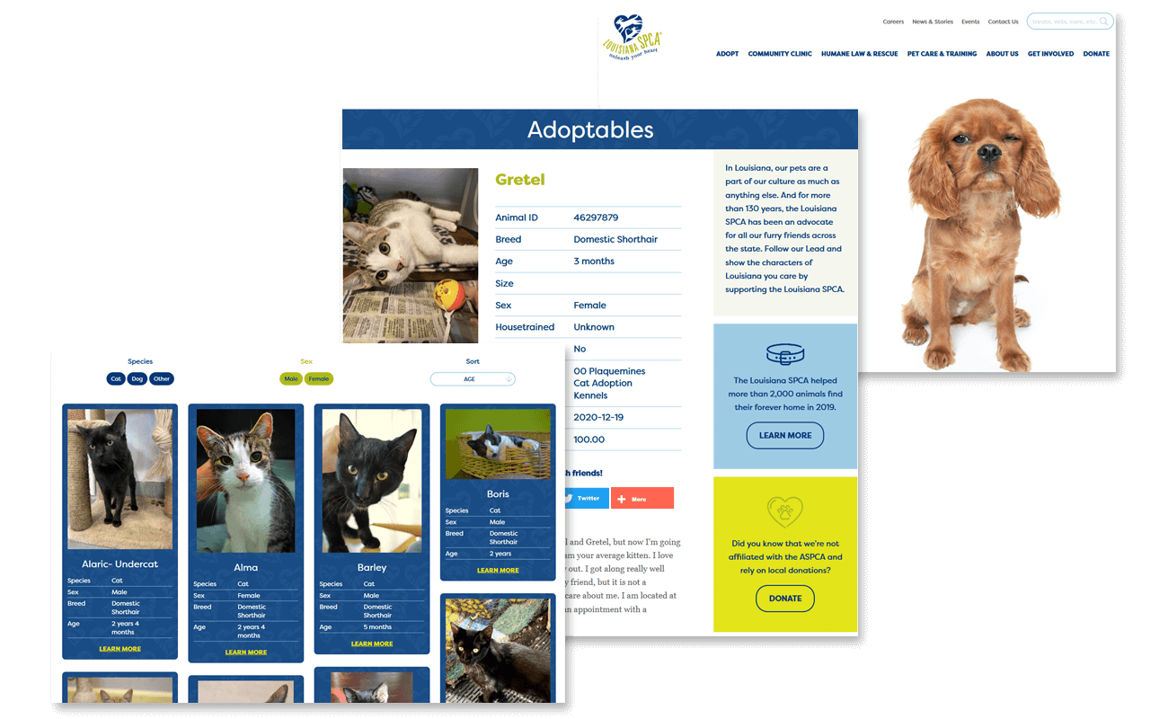 LASPCA Work Example Pet search